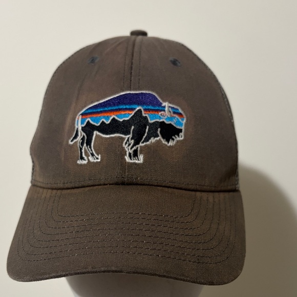 Patagonia Other - Patagonia Brown Cap